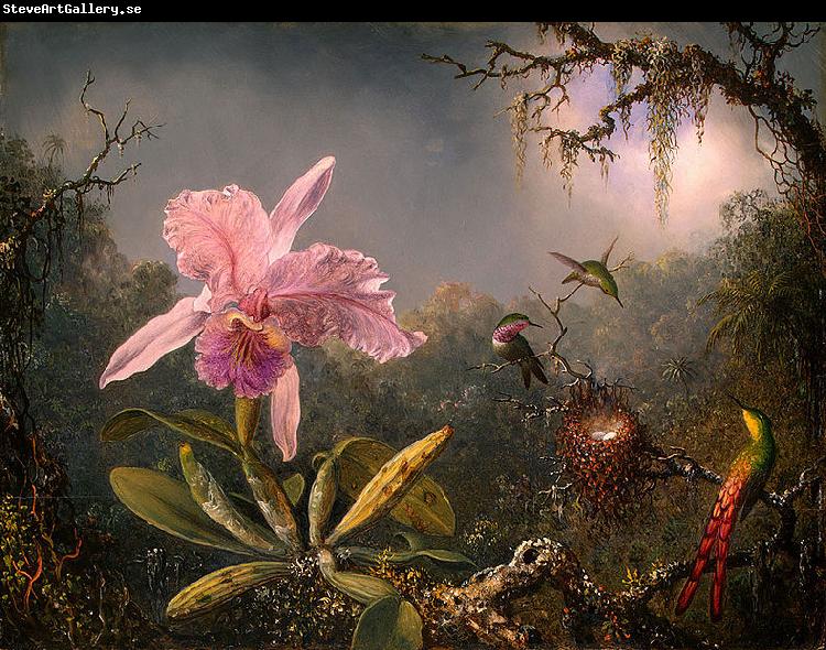 Martin Johnson Heade Cattleya Orchid and Three Brazilian Hummingbirds